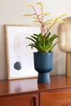 vibes fold coupe 14cm diepblauw